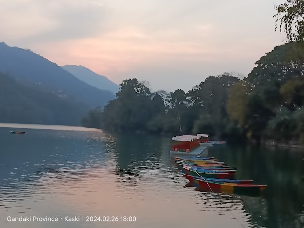 Phewa Lake 4