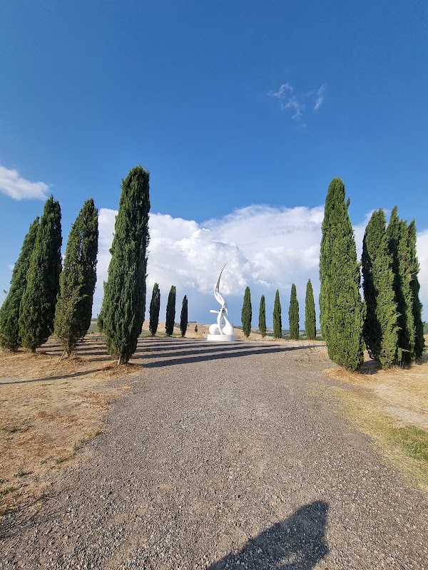 Cipressi di San Quirico d'Orcia 1
