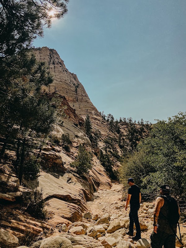 Zion Canyon Scenic Drive 5
