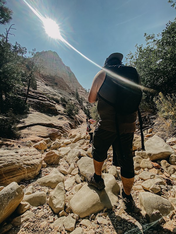 Zion Canyon Scenic Drive 2