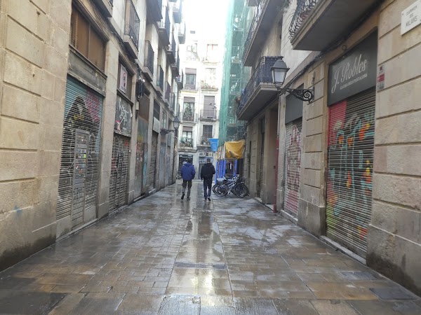 BCN 16
