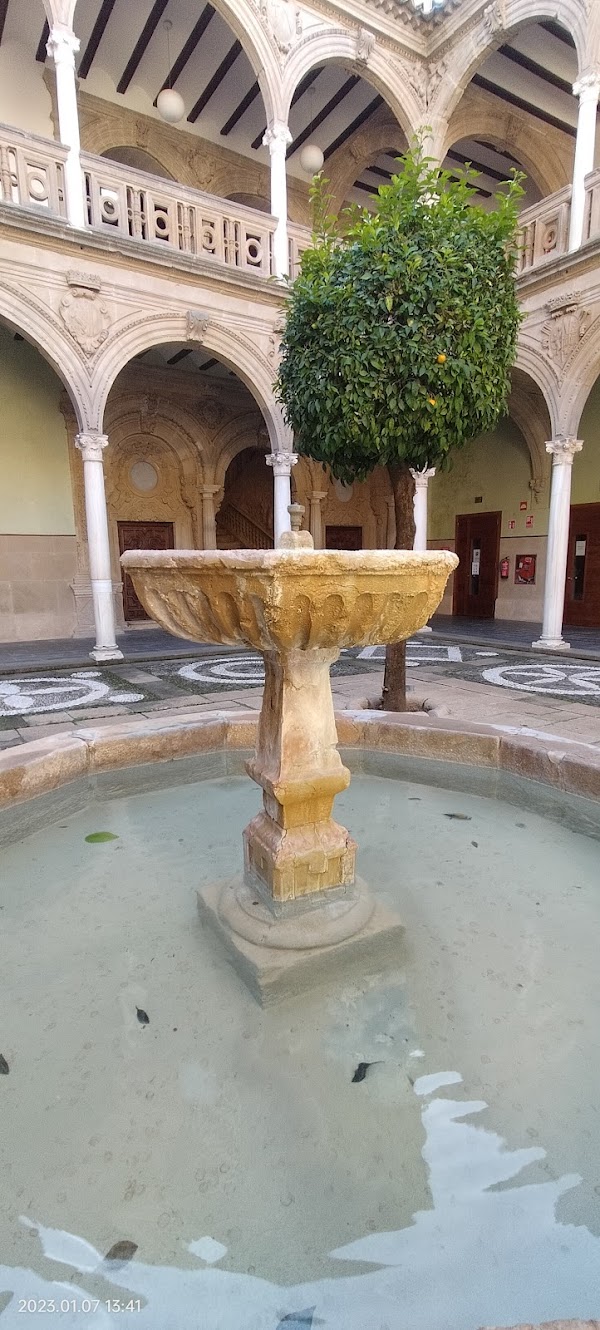 Baeza 3
