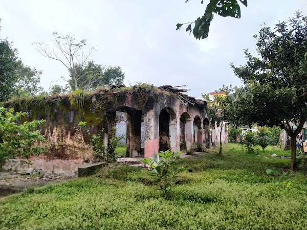Los Naranjos