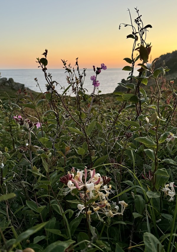 South West Coast Path 5