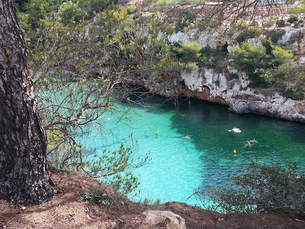 Torrent de Cala Pi 5