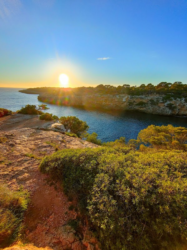 Torrent de Cala Pi 2