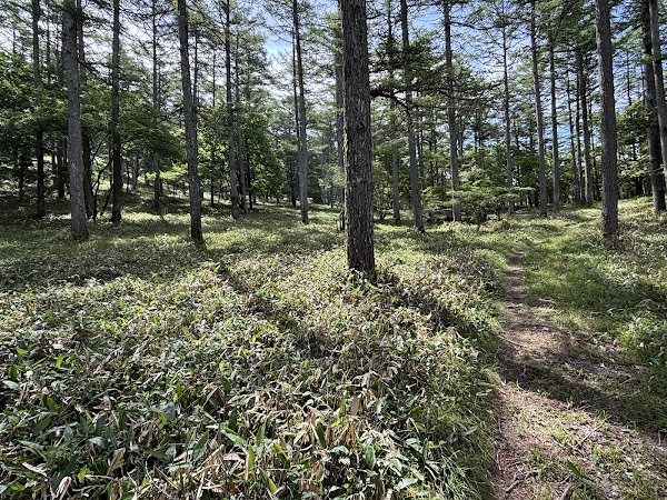 和田峠 1