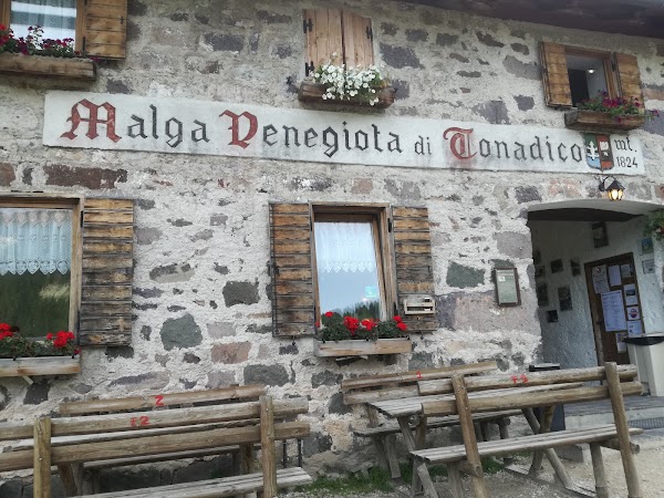 Malga Venegiota di Tonadico