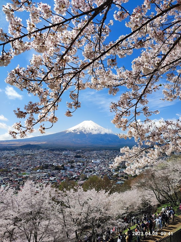 Arakurayama Sengen Park 5