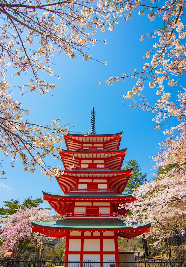 Arakurayama Sengen Park 4