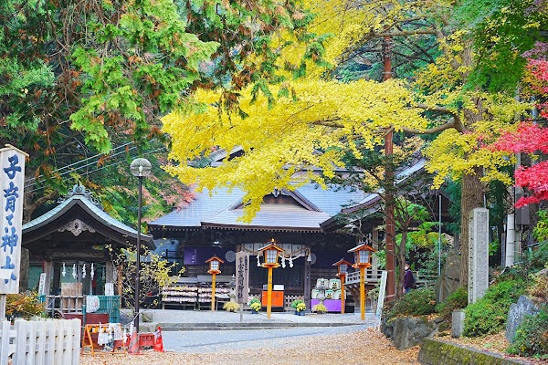 Arakurayama Sengen Park 3