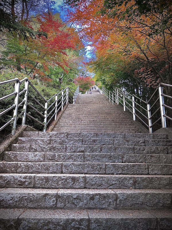 Arakurayama Sengen Park 2