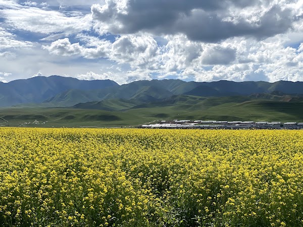 Sangke Grassland 3