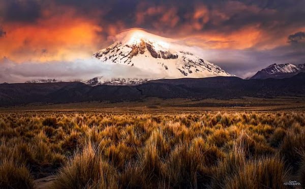 Parque Nacional Sajama