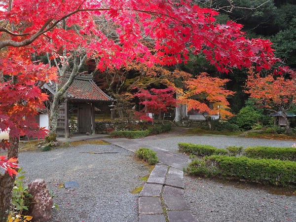 Shakuzenji