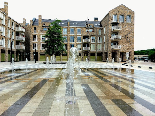 Vaals