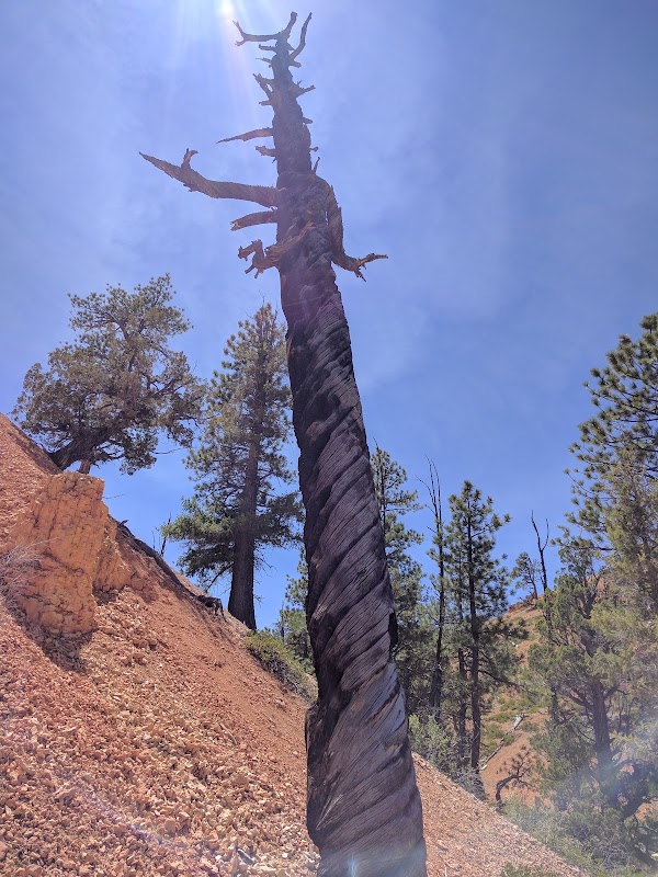 Fairyland Loop Trail 2