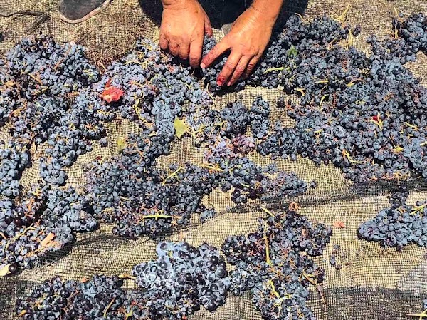 Domaine Sigalas 2