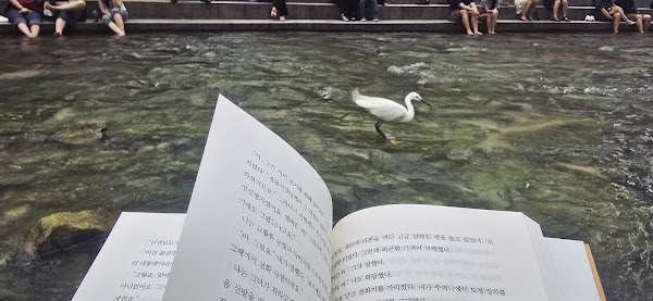 Seoul Outdoor Library 2
