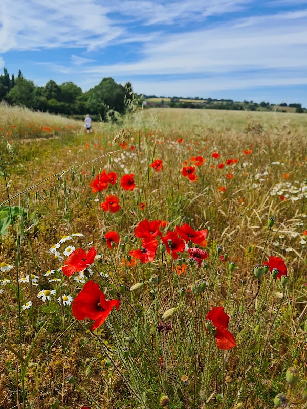 Broad Campden 5