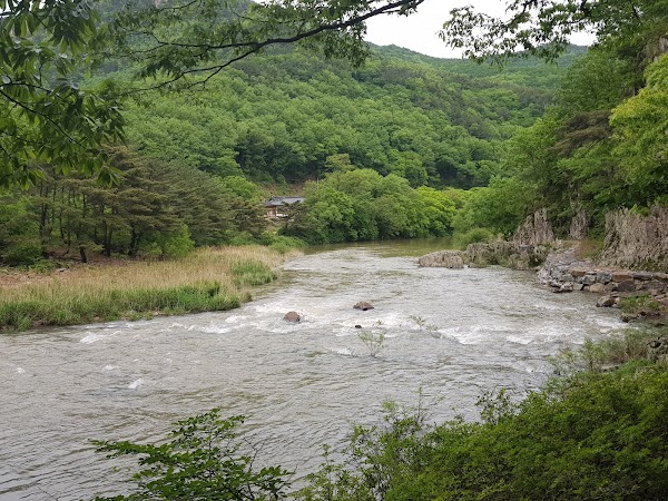 Ban-Yagyo
