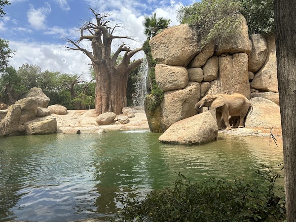 Bioparc Valencia