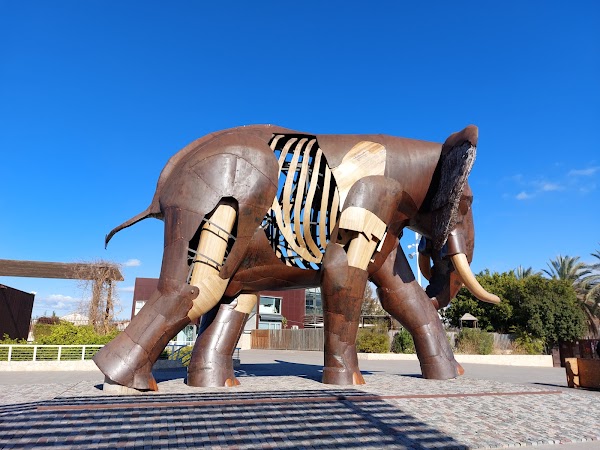 Bioparc Valencia 4