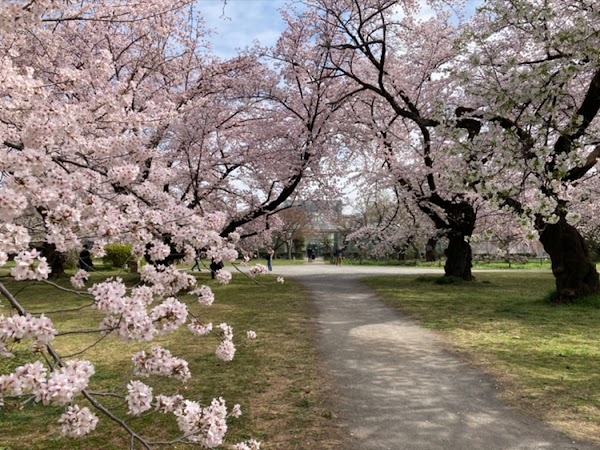 Koishikawa Botanical Garden