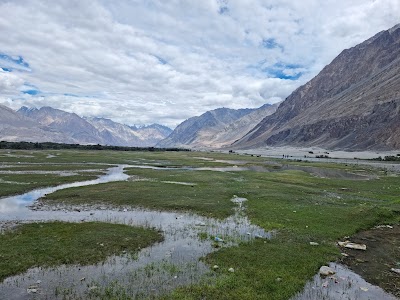 Nubra Valley Sand Dunes