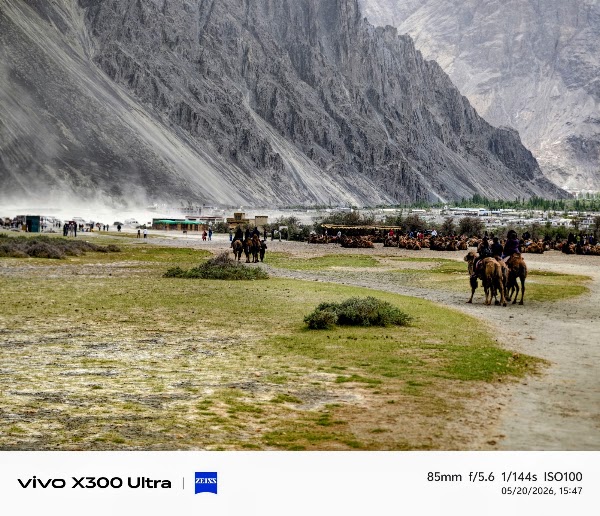 Nubra Valley Sand Dunes 5