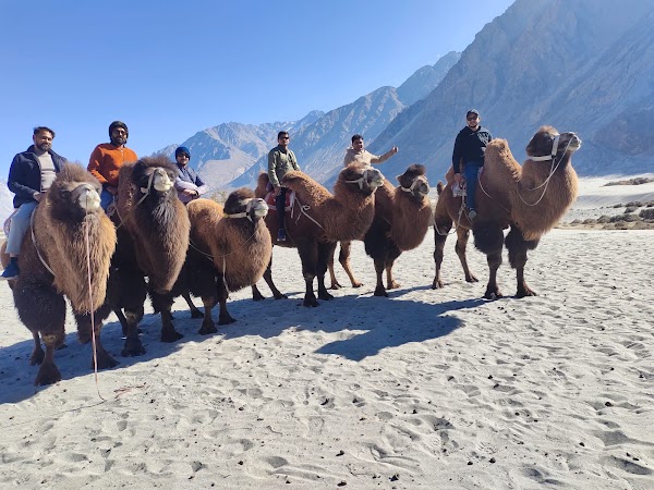 Nubra Valley Sand Dunes 4