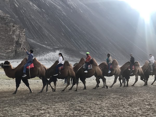 Nubra Valley Sand Dunes 3
