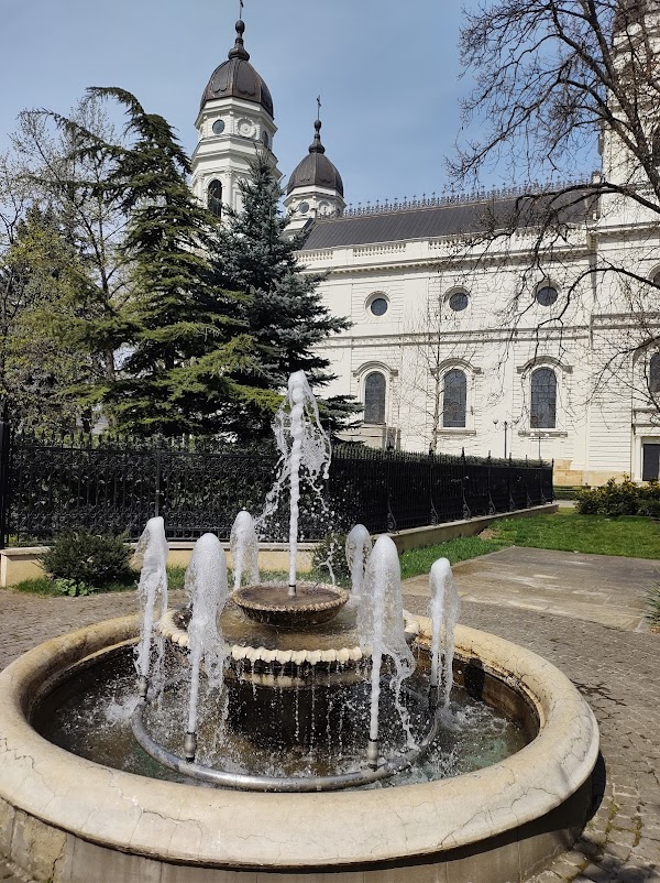 Iași 2