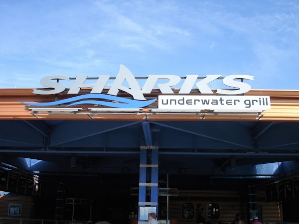 Sharks Underwater Grill 1