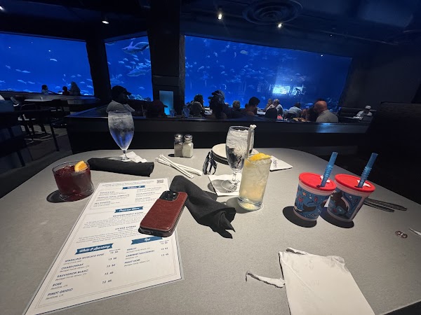 Sharks Underwater Grill 2