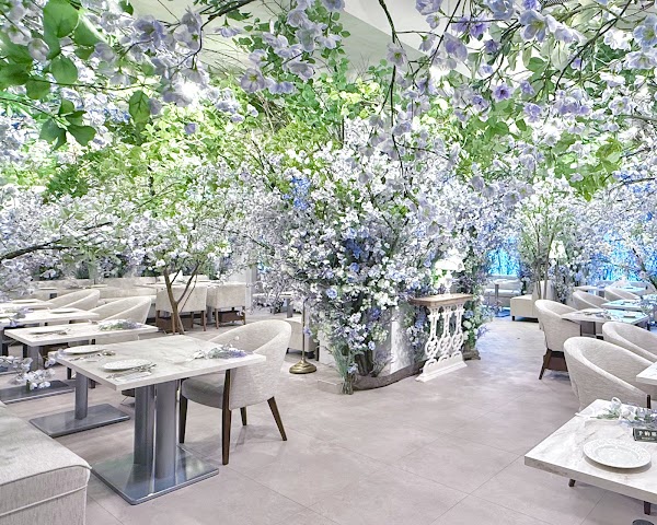 HAUTE COUTURE BRUNCH（オートクチュールブランチ） 3