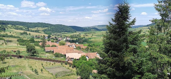 Criț