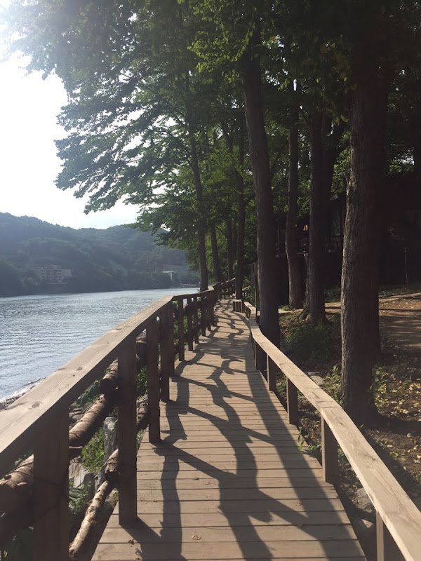 Nami Island Seoul Center 5
