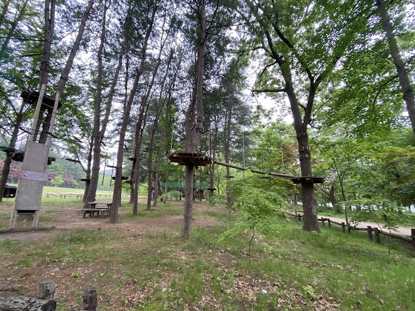 Nami Island Seoul Center 4