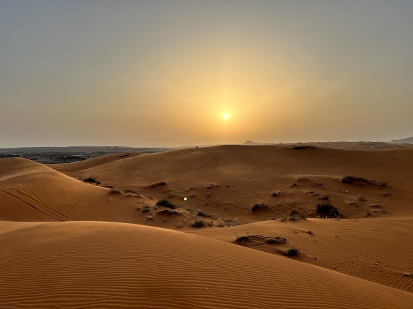 Riyadh 46
