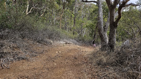 Churchman's Parkland