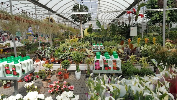 Büyükdere Atatürk Nursery 3