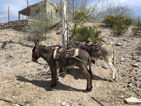 Boquillas del Carmen 1