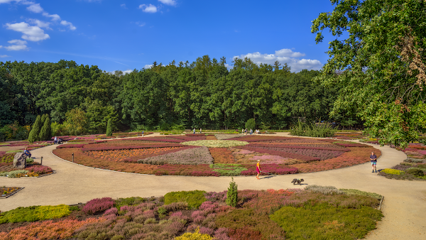 Heidegarten Schneverdingen