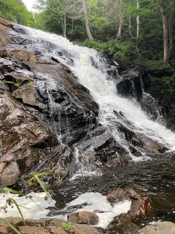 Chute aux Mûres