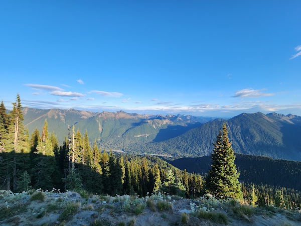 PNW 38