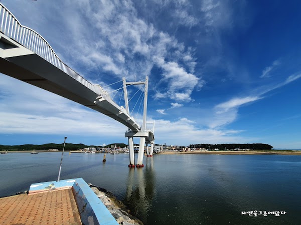 드르니항
