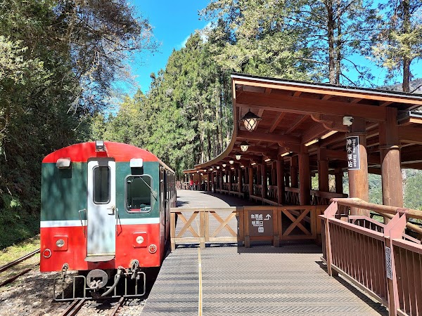 Sacred Tree Station 5