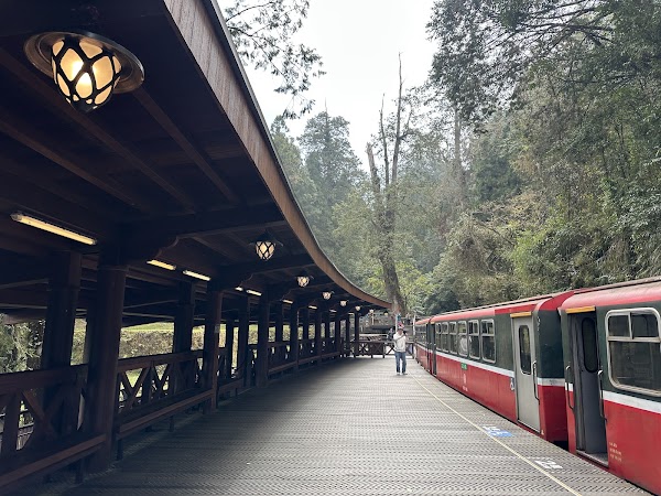 Sacred Tree Station 4
