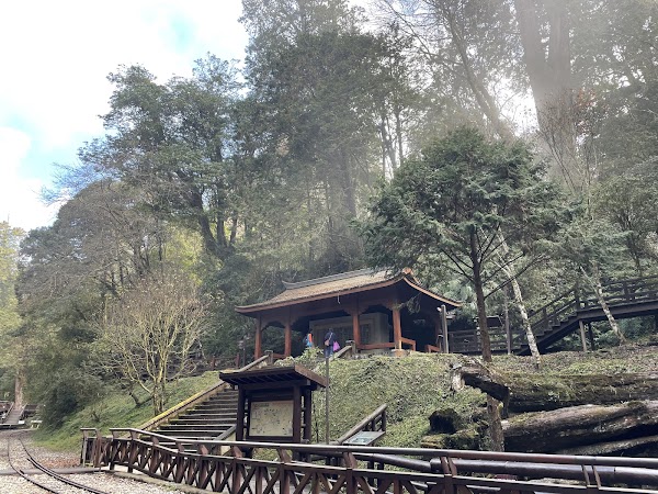 Sacred Tree Station 3